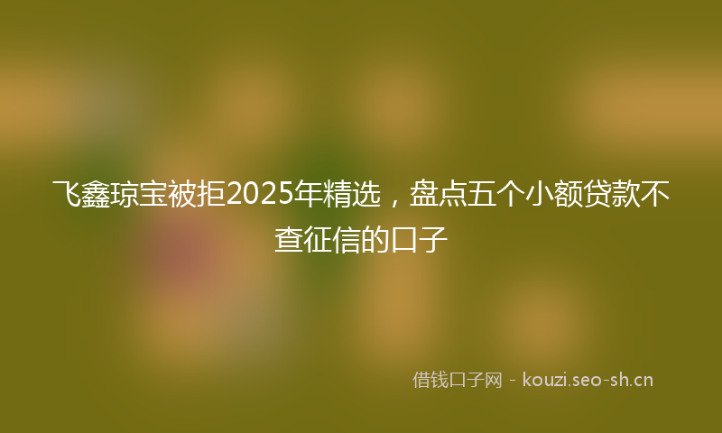 飞鑫琼宝被拒2025年精选，盘点五个小额贷款不查征信的口子