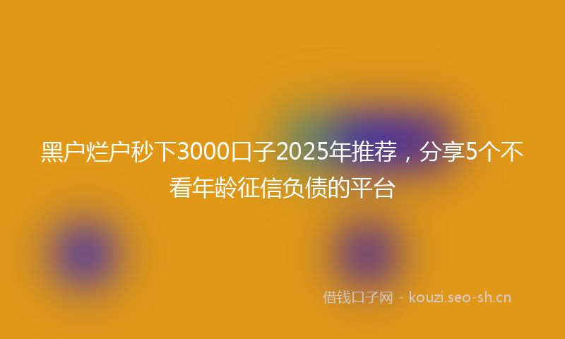 黑户烂户秒下3000口子2025年推荐，分享5个不看年龄征信负债的平台