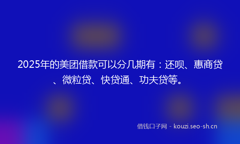 2025年的美团借款可以分几期有：还呗、惠商贷、微粒贷、快贷通、功夫贷等。
