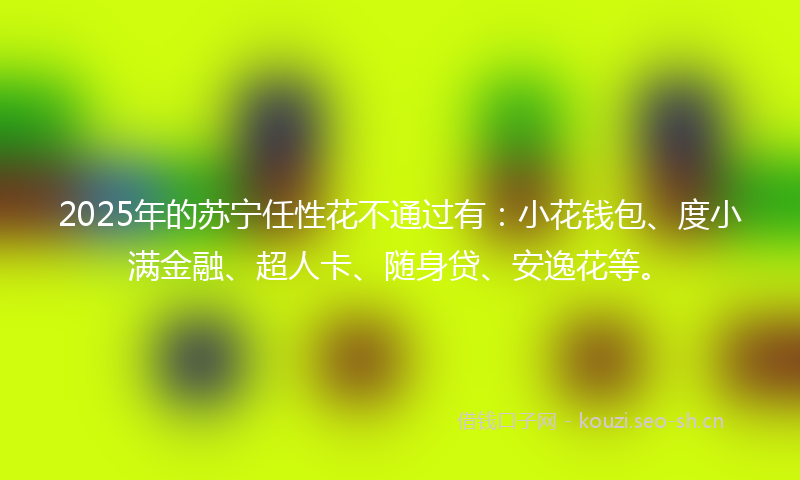 2025年的苏宁任性花不通过有：小花钱包、度小满金融、超人卡、随身贷、安逸花等。