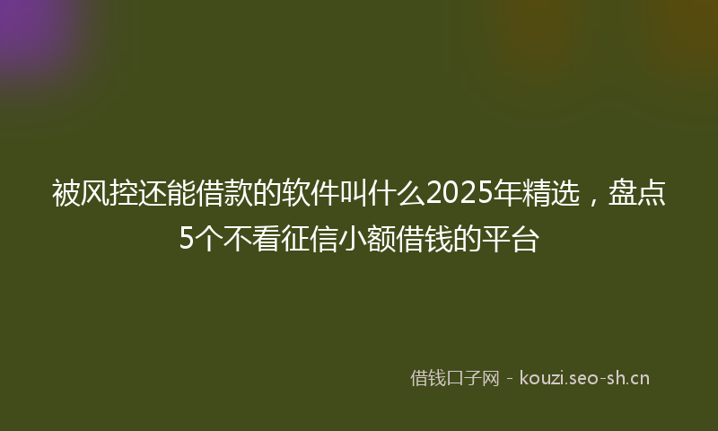 被风控还能借款的软件叫什么2025年精选，盘点5个不看征信小额借钱的平台