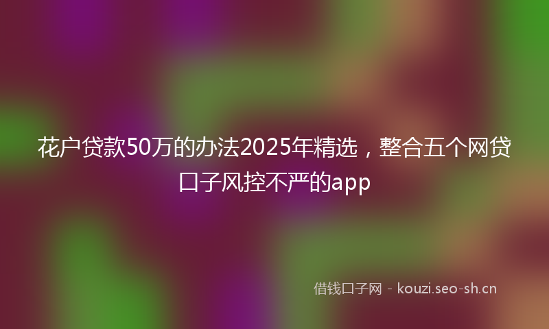 花户贷款50万的办法2025年精选，整合五个网贷口子风控不严的app
