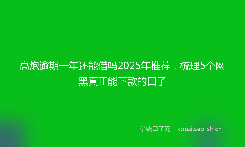高炮逾期一年还能借吗2025年推荐，梳理5个网黑真正能下款的口子