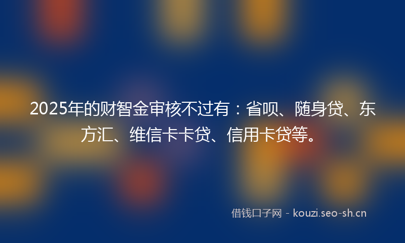 2025年的财智金审核不过有：省呗、随身贷、东方汇、维信卡卡贷、信用卡贷等。