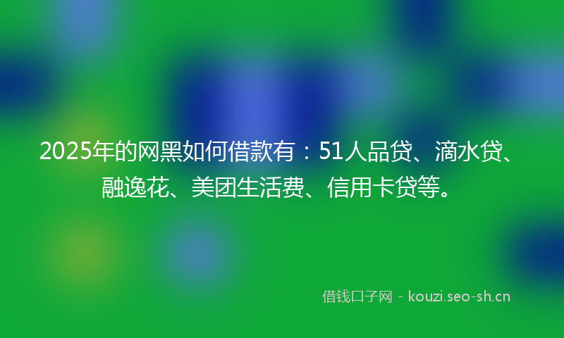 2025年的网黑如何借款有：51人品贷、滴水贷、融逸花、美团生活费、信用卡贷等。