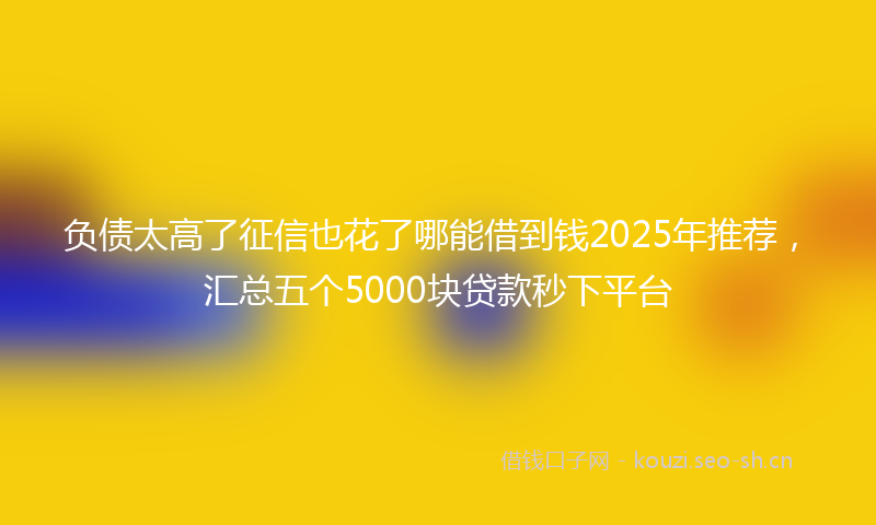 负债太高了征信也花了哪能借到钱2025年推荐，汇总五个5000块贷款秒下平台