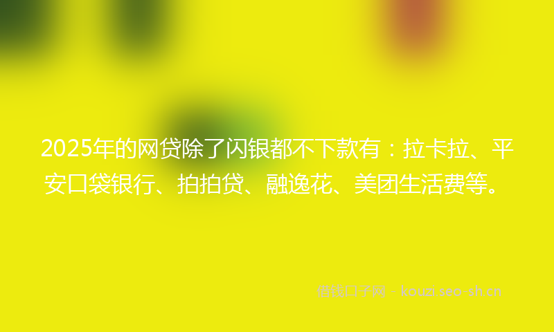 2025年的网贷除了闪银都不下款有：拉卡拉、平安口袋银行、拍拍贷、融逸花、美团生活费等。