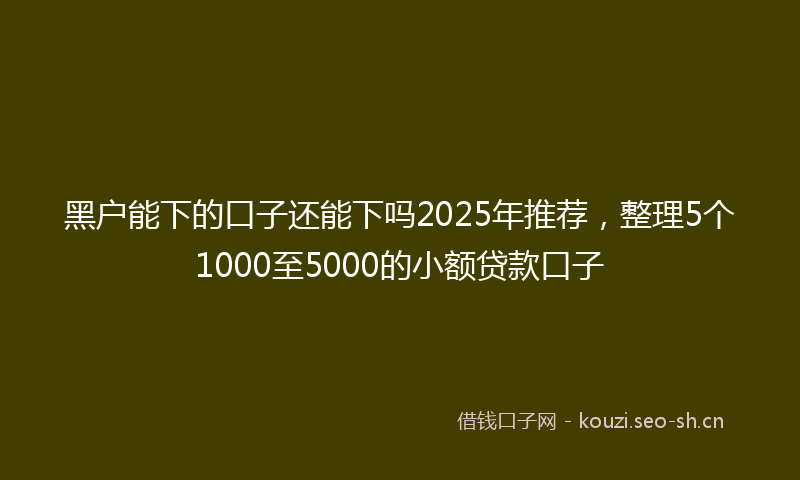 黑户能下的口子还能下吗2025年推荐，整理5个1000至5000的小额贷款口子