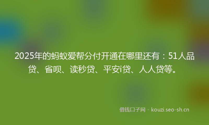 2025年的蚂蚁爱帮分付开通在哪里还有：51人品贷、省呗、读秒贷、平安i贷、人人贷等。