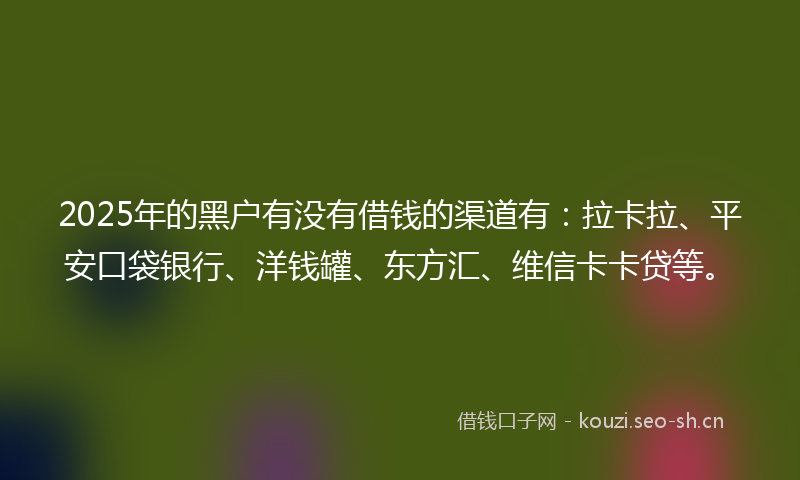 2025年的黑户有没有借钱的渠道有：拉卡拉、平安口袋银行、洋钱罐、东方汇、维信卡卡贷等。