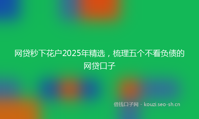 网贷秒下花户2025年精选，梳理五个不看负债的网贷口子
