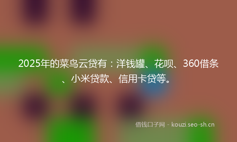 2025年的菜鸟云贷有：洋钱罐、花呗、360借条、小米贷款、信用卡贷等。