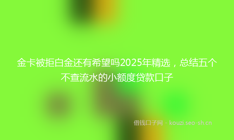 金卡被拒白金还有希望吗2025年精选，总结五个不查流水的小额度贷款口子