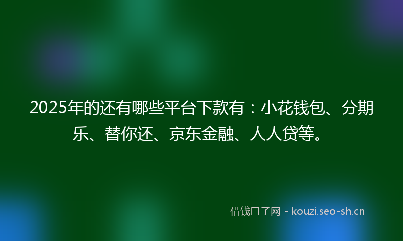 2025年的还有哪些平台下款有：小花钱包、分期乐、替你还、京东金融、人人贷等。