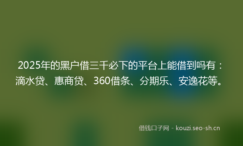 2025年的黑户借三千必下的平台上能借到吗有：滴水贷、惠商贷、360借条、分期乐、安逸花等。