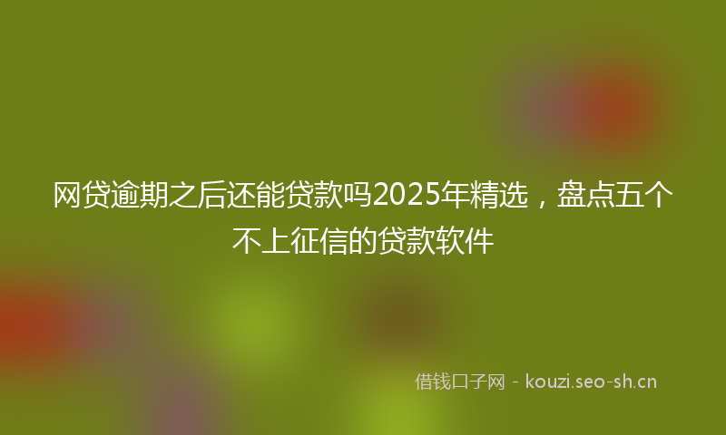 网贷逾期之后还能贷款吗2025年精选，盘点五个不上征信的贷款软件