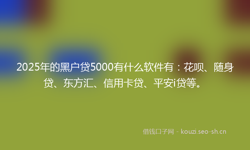2025年的黑户贷5000有什么软件有：花呗、随身贷、东方汇、信用卡贷、平安i贷等。