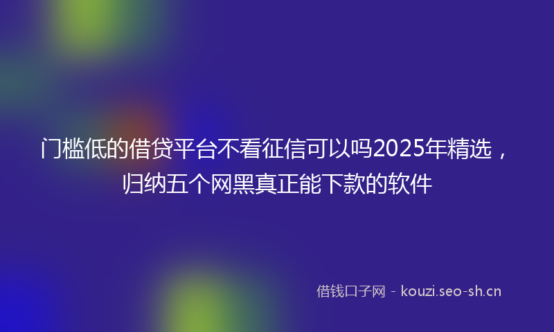 门槛低的借贷平台不看征信可以吗2025年精选，归纳五个网黑真正能下款的软件