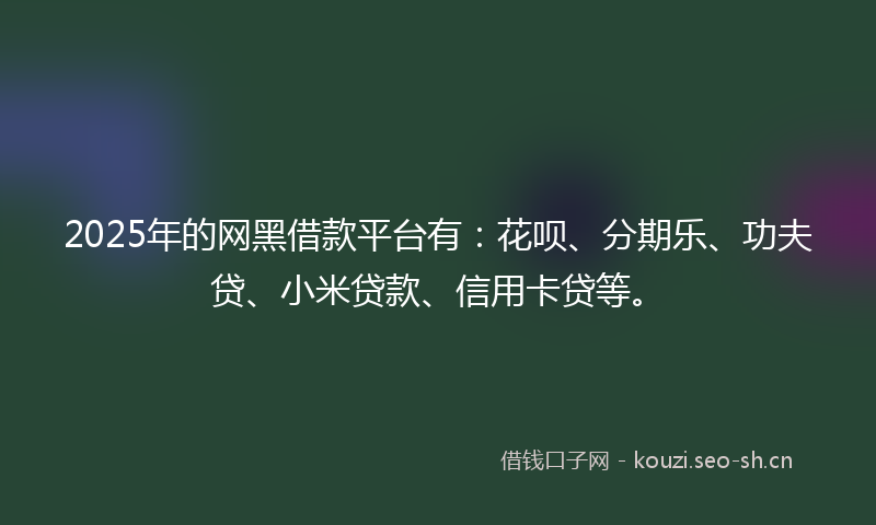 2025年的网黑借款平台有：花呗、分期乐、功夫贷、小米贷款、信用卡贷等。