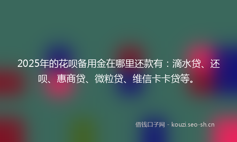 2025年的花呗备用金在哪里还款有：滴水贷、还呗、惠商贷、微粒贷、维信卡卡贷等。
