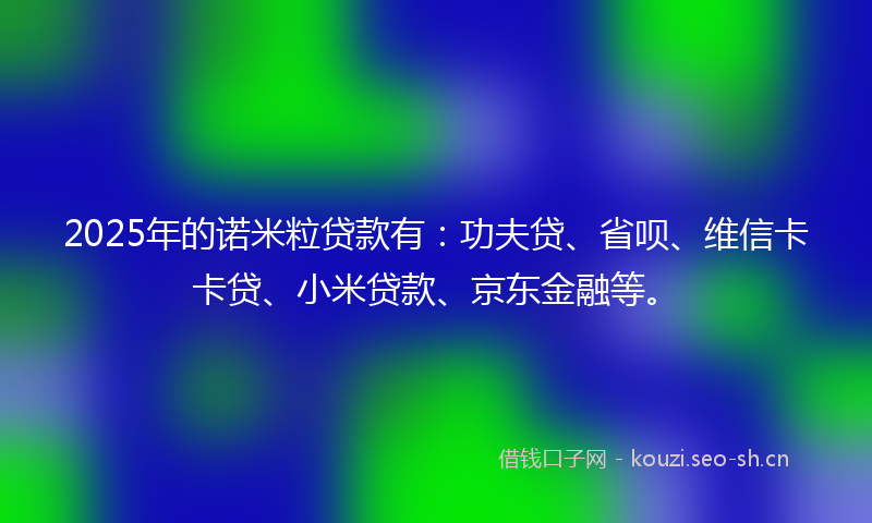 2025年的诺米粒贷款有：功夫贷、省呗、维信卡卡贷、小米贷款、京东金融等。