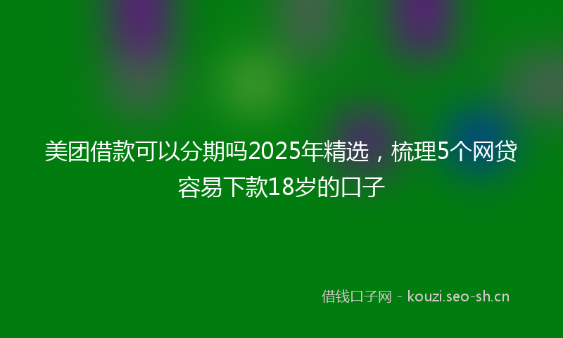 美团借款可以分期吗2025年精选，梳理5个网贷容易下款18岁的口子