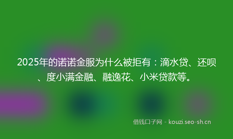 2025年的诺诺金服为什么被拒有：滴水贷、还呗、度小满金融、融逸花、小米贷款等。