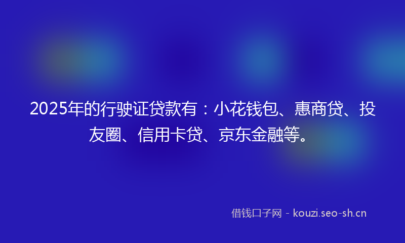 2025年的行驶证贷款有：小花钱包、惠商贷、投友圈、信用卡贷、京东金融等。
