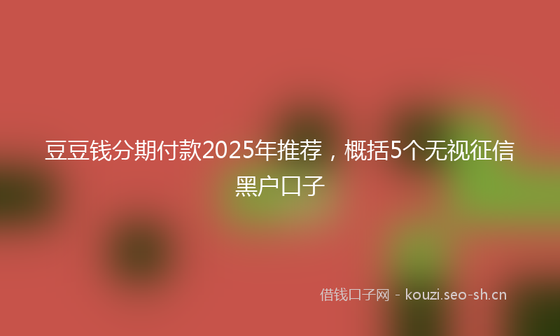 豆豆钱分期付款2025年推荐，概括5个无视征信黑户口子