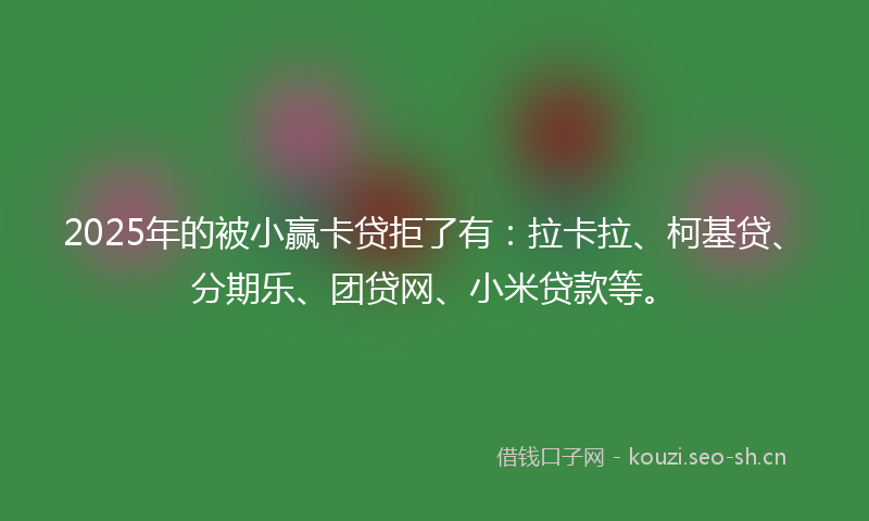 2025年的被小赢卡贷拒了有：拉卡拉、柯基贷、分期乐、团贷网、小米贷款等。
