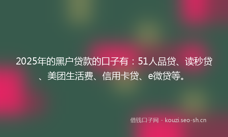 2025年的黑户贷款的口子有：51人品贷、读秒贷、美团生活费、信用卡贷、e微贷等。