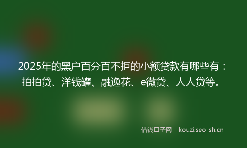 2025年的黑户百分百不拒的小额贷款有哪些有：拍拍贷、洋钱罐、融逸花、e微贷、人人贷等。