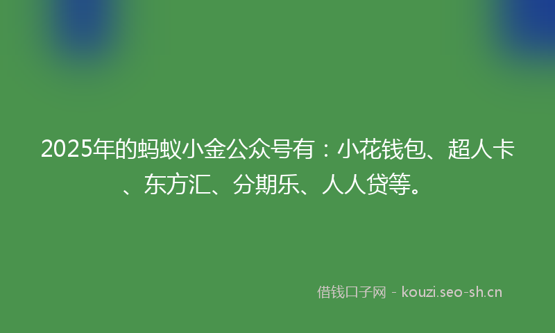 2025年的蚂蚁小金公众号有：小花钱包、超人卡、东方汇、分期乐、人人贷等。