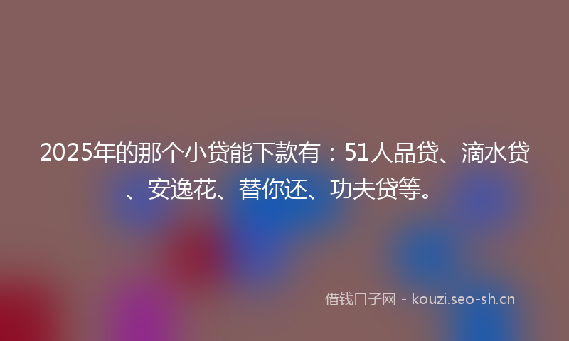 2025年的那个小贷能下款有：51人品贷、滴水贷、安逸花、替你还、功夫贷等。