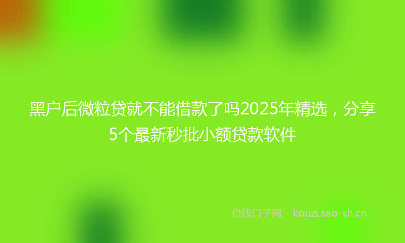 黑户后微粒贷就不能借款了吗2025年精选，分享5个最新秒批小额贷款软件