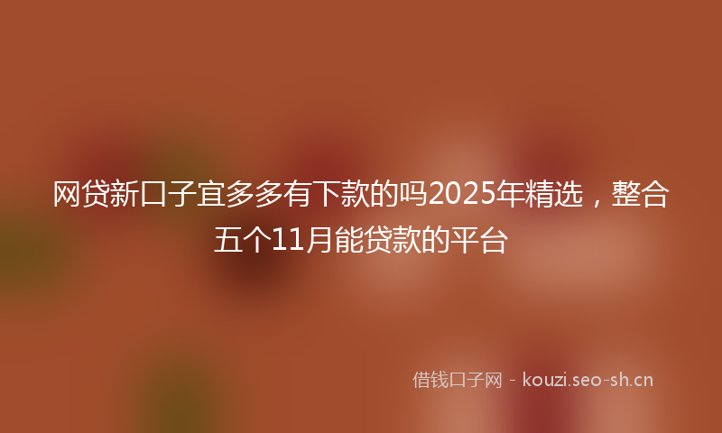 网贷新口子宜多多有下款的吗2025年精选，整合五个11月能贷款的平台