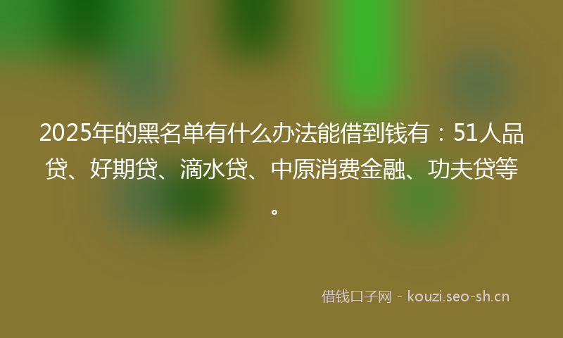 2025年的黑名单有什么办法能借到钱有：51人品贷、好期贷、滴水贷、中原消费金融、功夫贷等。