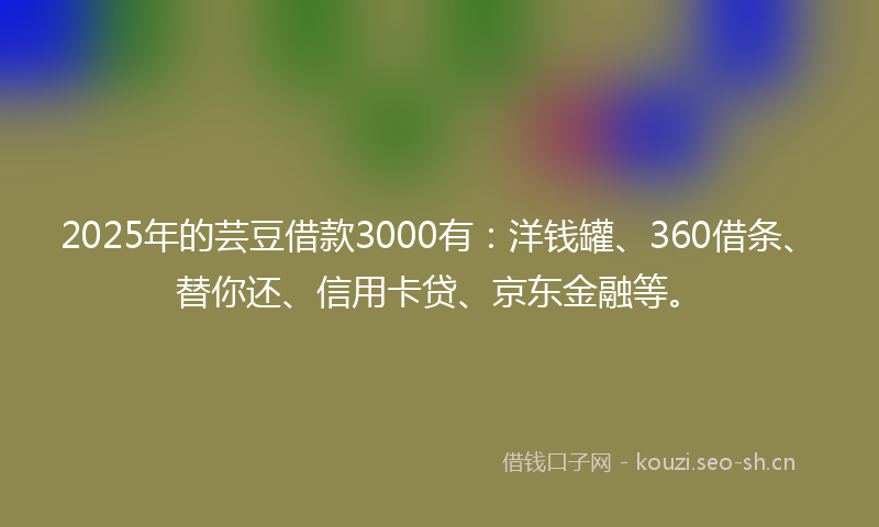 2025年的芸豆借款3000有：洋钱罐、360借条、替你还、信用卡贷、京东金融等。