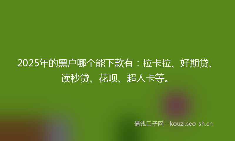 2025年的黑户哪个能下款有：拉卡拉、好期贷、读秒贷、花呗、超人卡等。