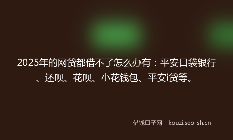 2025年的网贷都借不了怎么办有：平安口袋银行、还呗、花呗、小花钱包、平安i贷等。