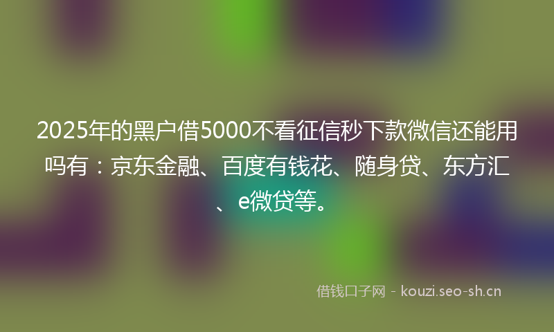 2025年的黑户借5000不看征信秒下款微信还能用吗有：京东金融、百度有钱花、随身贷、东方汇、e微贷等。