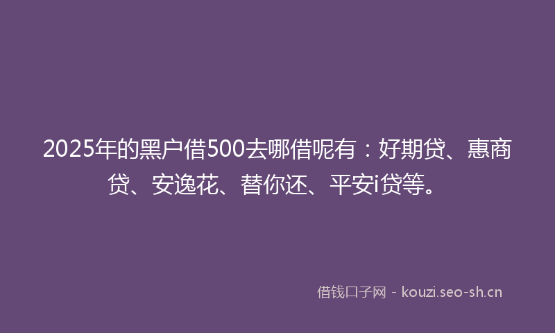 2025年的黑户借500去哪借呢有：好期贷、惠商贷、安逸花、替你还、平安i贷等。
