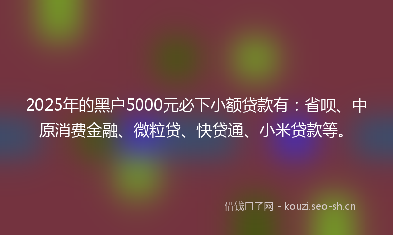 2025年的黑户5000元必下小额贷款有：省呗、中原消费金融、微粒贷、快贷通、小米贷款等。