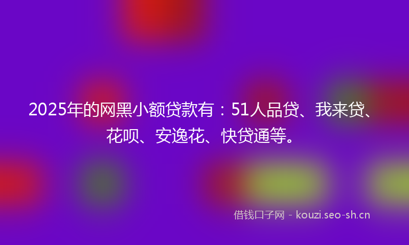 2025年的网黑小额贷款有：51人品贷、我来贷、花呗、安逸花、快贷通等。