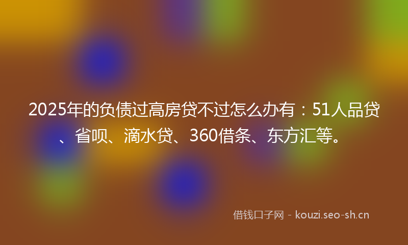 2025年的负债过高房贷不过怎么办有：51人品贷、省呗、滴水贷、360借条、东方汇等。