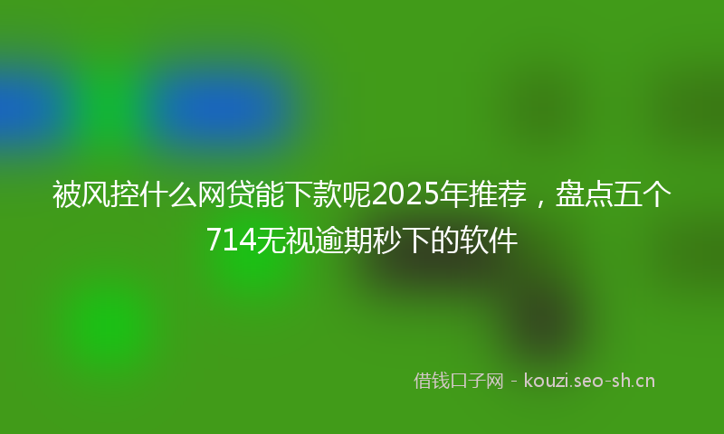 被风控什么网贷能下款呢2025年推荐，盘点五个714无视逾期秒下的软件