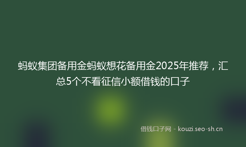 蚂蚁集团备用金蚂蚁想花备用金2025年推荐，汇总5个不看征信小额借钱的口子