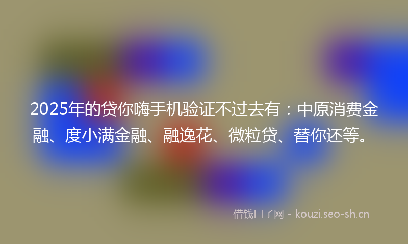 2025年的贷你嗨手机验证不过去有：中原消费金融、度小满金融、融逸花、微粒贷、替你还等。