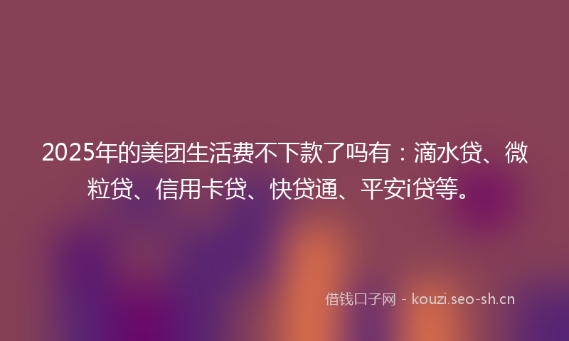 2025年的美团生活费不下款了吗有：滴水贷、微粒贷、信用卡贷、快贷通、平安i贷等。