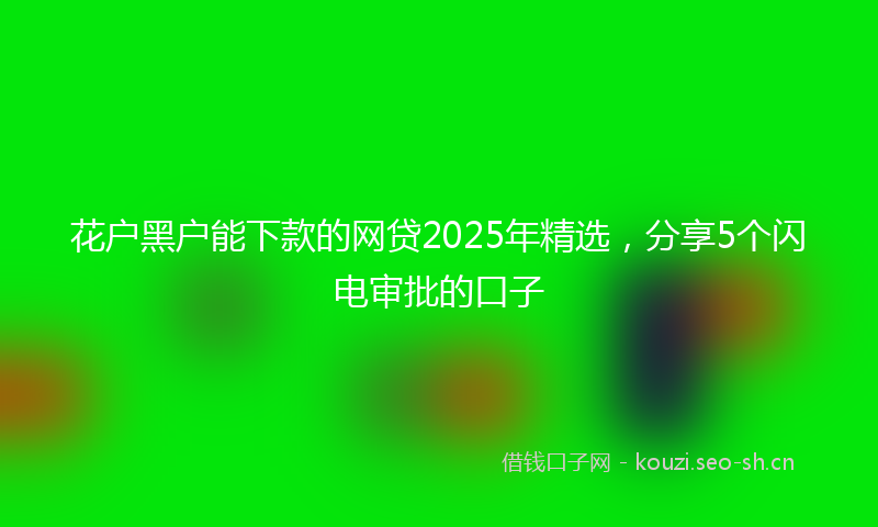 花户黑户能下款的网贷2025年精选，分享5个闪电审批的口子